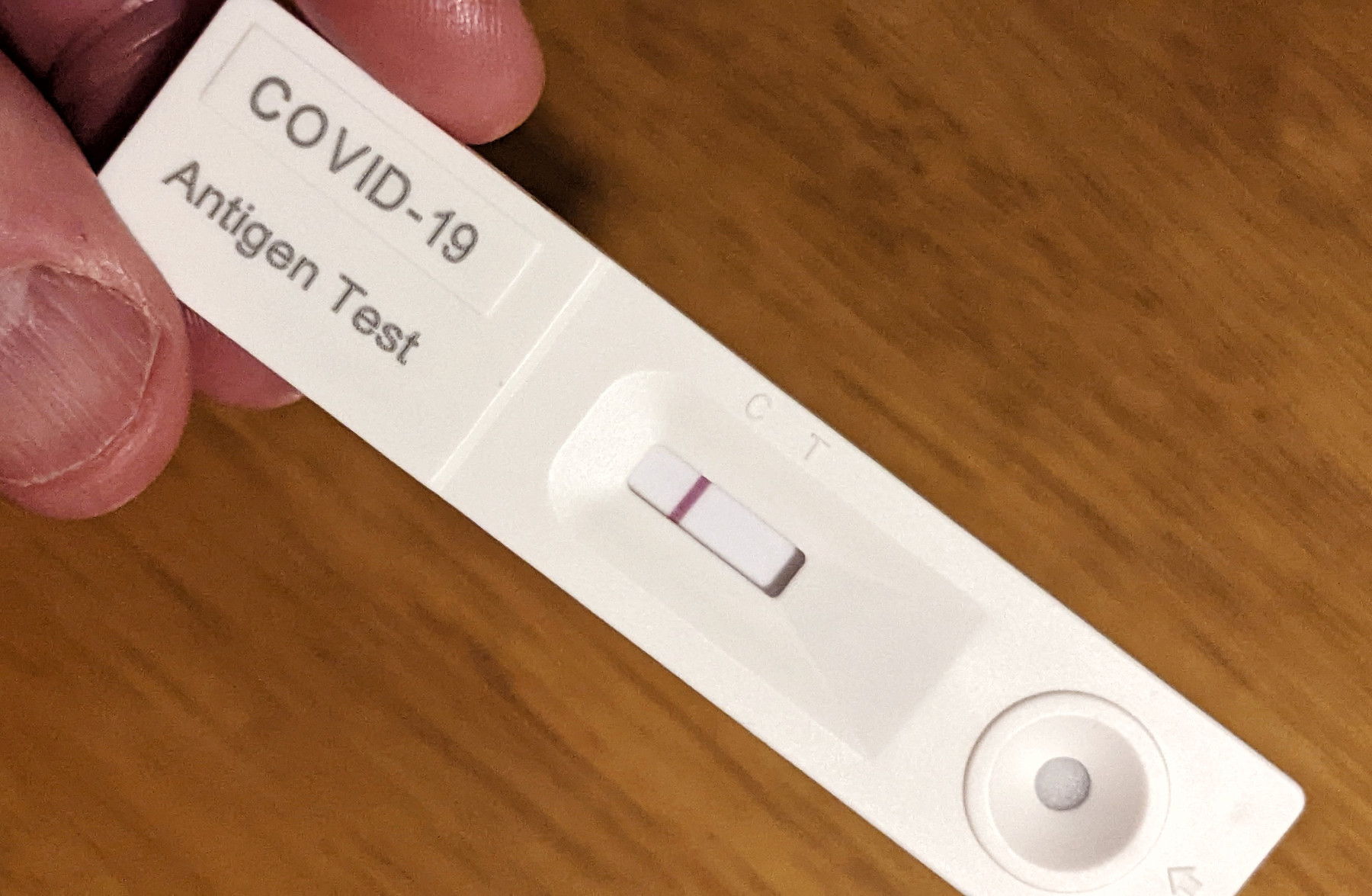 Closeup photo of a COVID-19 rapid test. Photo: Dennis Sylvester Hurd. Public domain image.