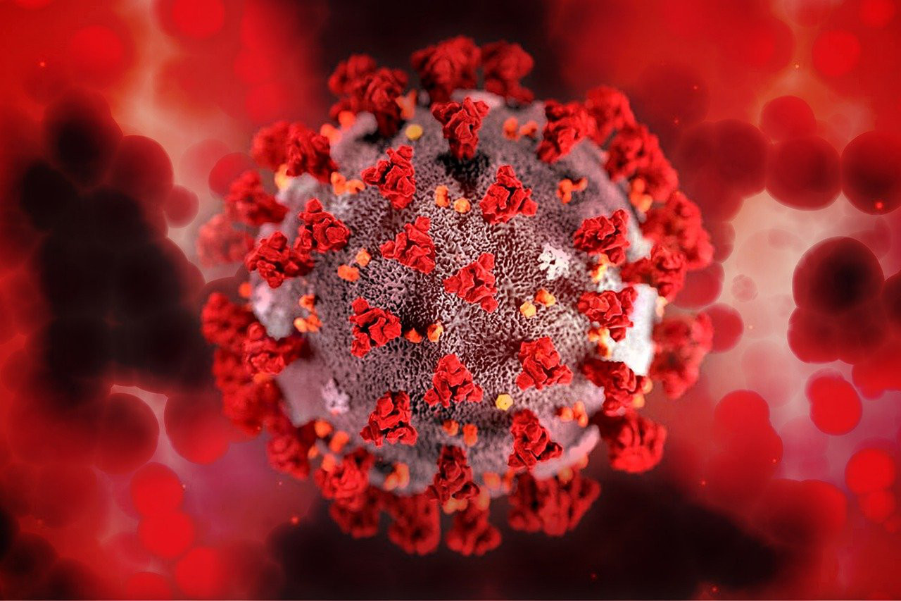 A stylized image of a SARS-CoV-2 virus particle, depicted with bright red colours. Illustration by Gerd Altmann from Pixabay.